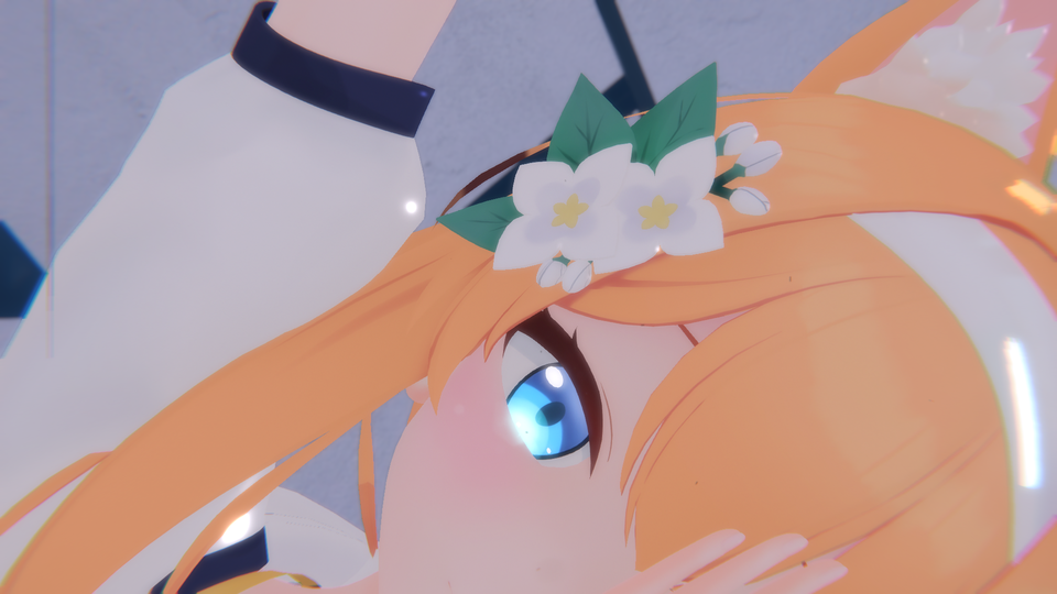 フォニイ カメラ
