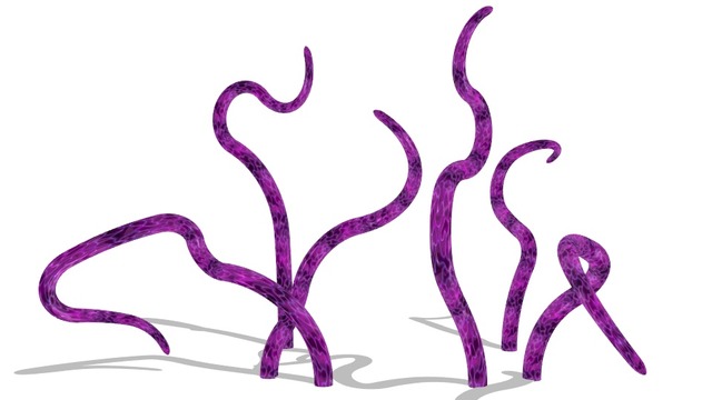 触手(jqe・kqf)配布用