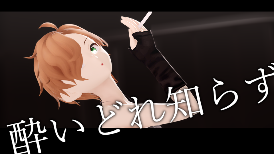 酔いどれ知らず(づなうじ)_カメラ