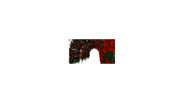薔薇アーチ Ver1.0