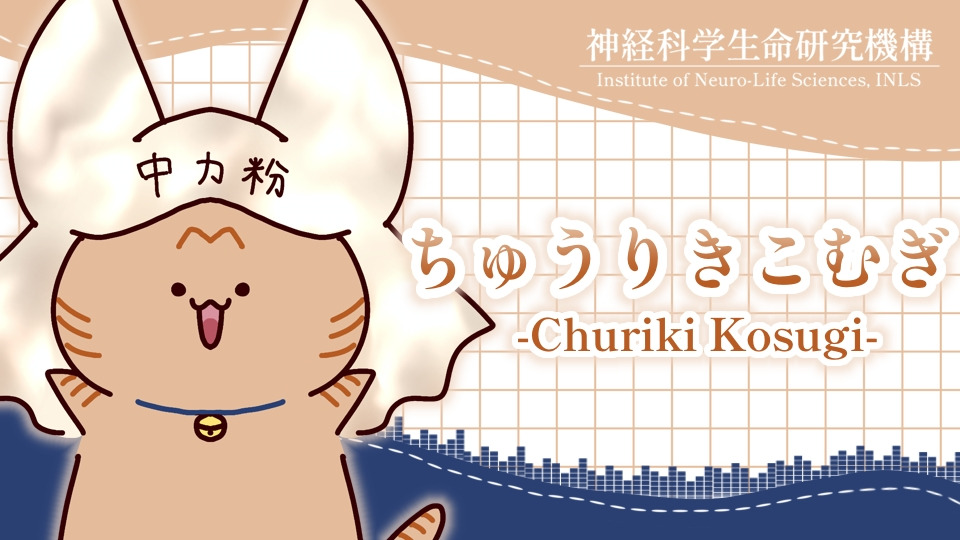 ちゅうりき　こむぎ