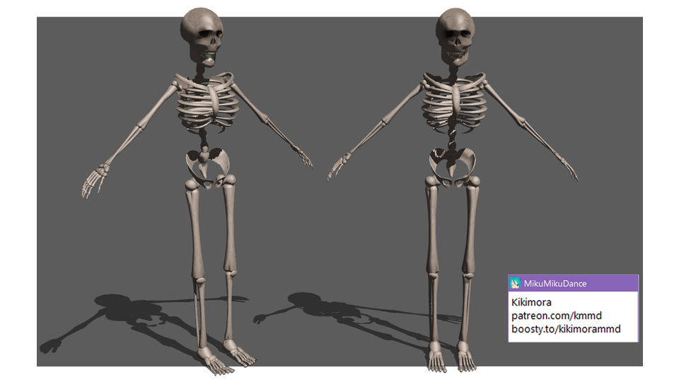 The skeleton model for MMD