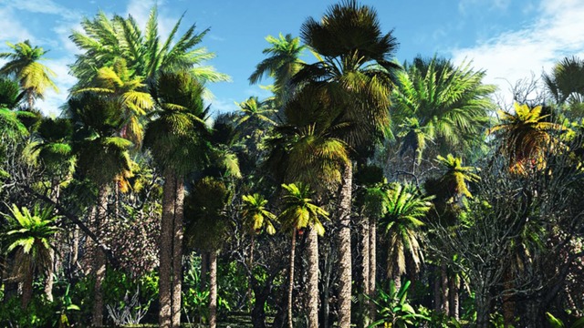 スカイドーム(ジャングル) VOL.L9