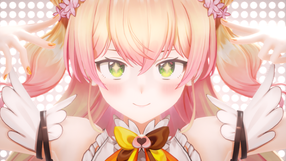 アイドル (カメラ配布)