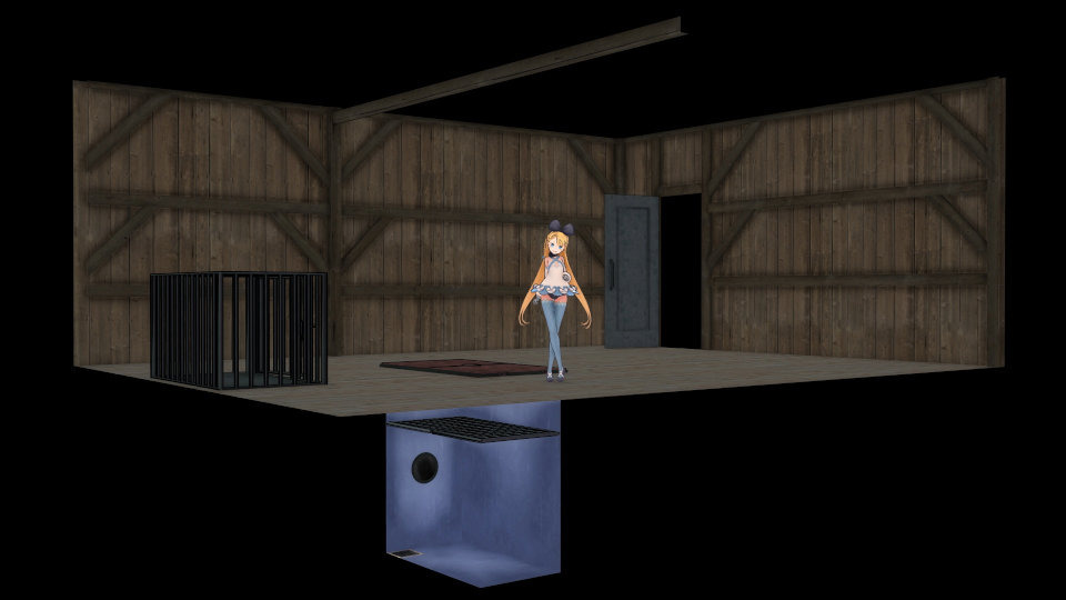 床下水槽の部屋