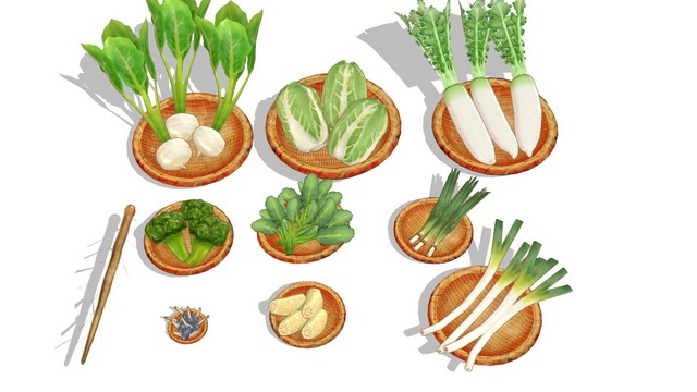 冬野菜セットver1.0