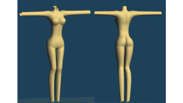 素体(女性)　　配布