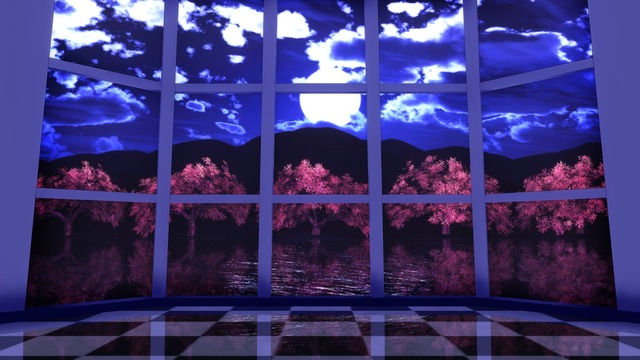 ステージ(夜桜の部屋) VOL.ST40