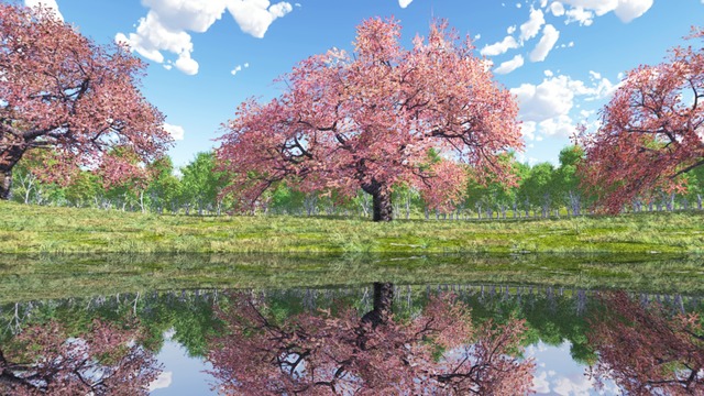 スカイドーム(桜の公園) VOL.NN8