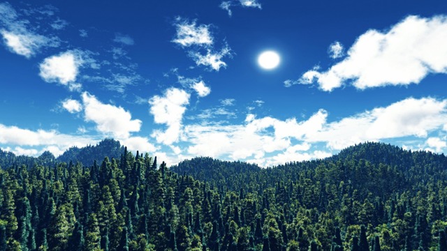 スカイドーム(昼間の夏山) VOL.N5