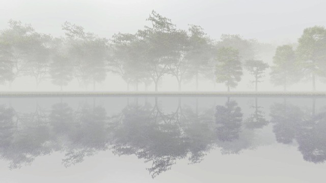 スカイドーム(霧の森) VOL.V1