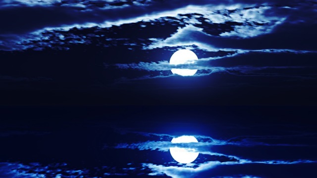 スカイドーム(月光) VOL.Y2