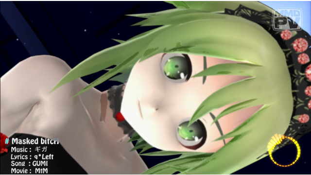 Masked bitcH カメラ 改