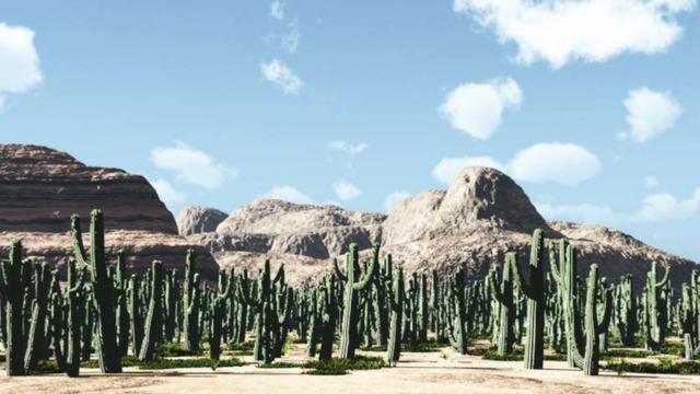 スカイドーム(荒野のサボテン) VOL.C6