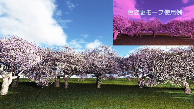 スカイドーム(桜) VOL.L3