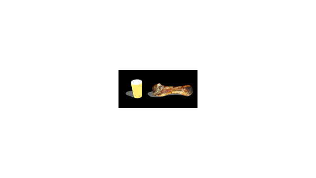 おいしそうな骨