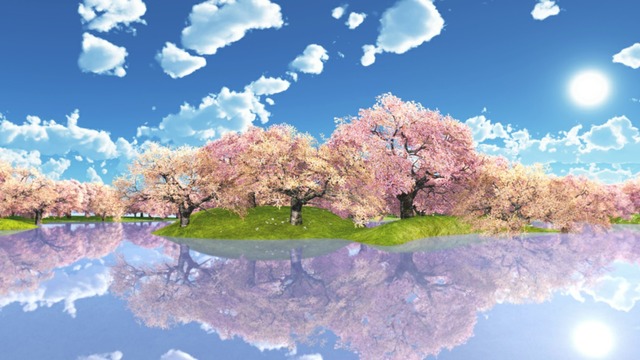 スカイドーム(午後の桜) VOL.TK6