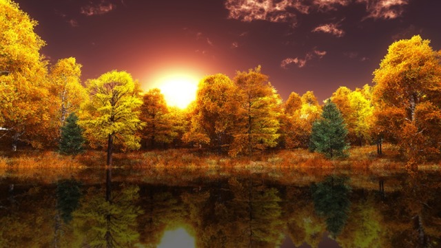 スカイドーム(夕方の晩秋の森) VOL.TL7