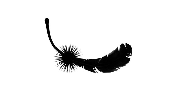 feather - BowlRoll