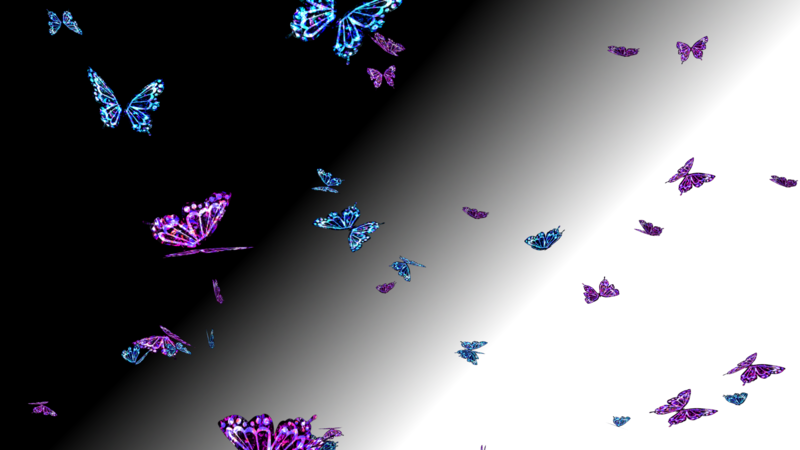 和風蝶パーティクル