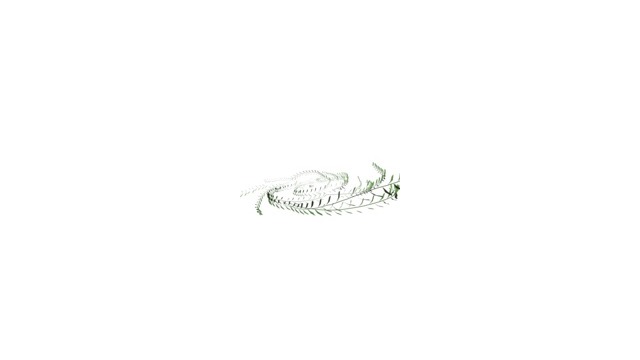 蔓草ステージ