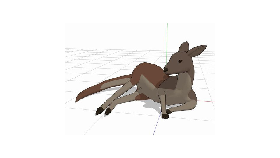 アカカンガルー