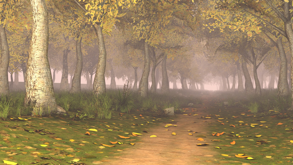 STAGE 045 FallForest