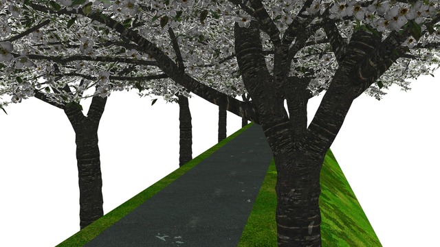 桜道ステージ 1.0 中量版