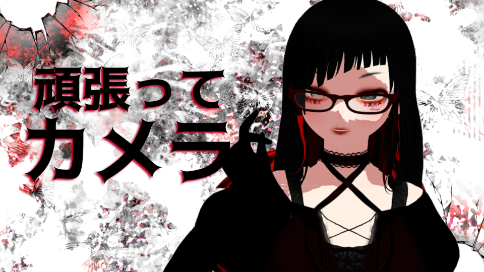 頑張ってーカメラ