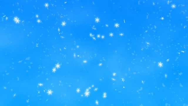 スカイドーム(雪模様) VOL.Y6