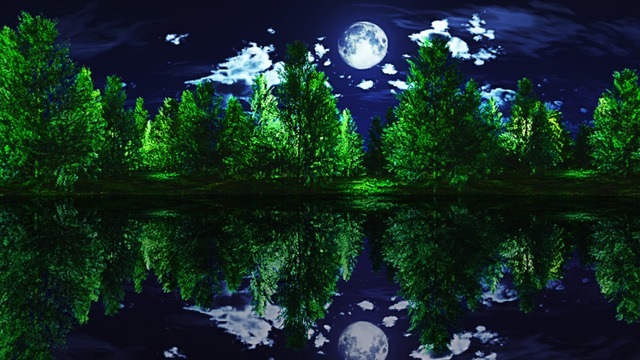 スカイドーム(月夜の森) VOL.EE3