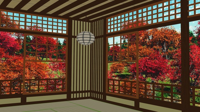 ステージ(午後の紅葉) VOL.ST21