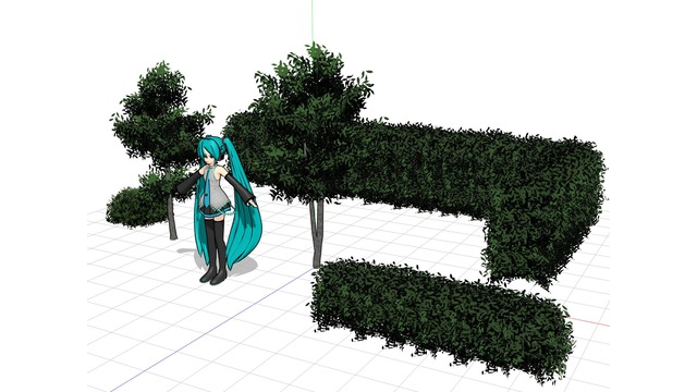 ヒサカキの庭木セット