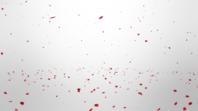 【MME】薔薇の花びら(4色入)