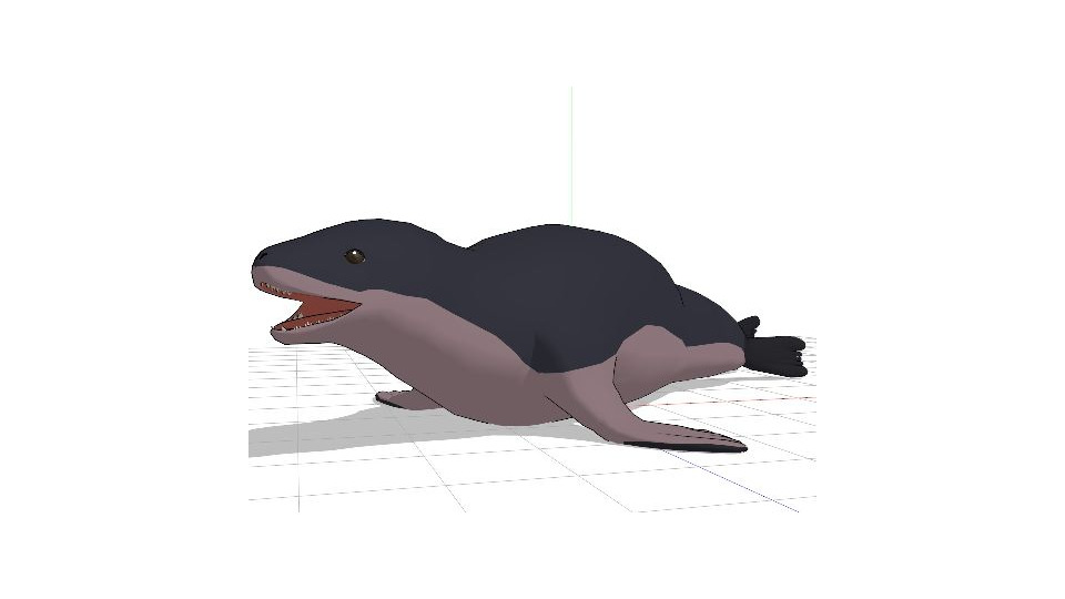 ヒョウアザラシ