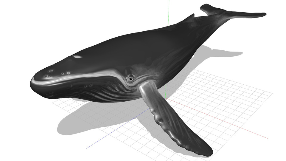 ザトウクジラMMDモデル（軽量版）