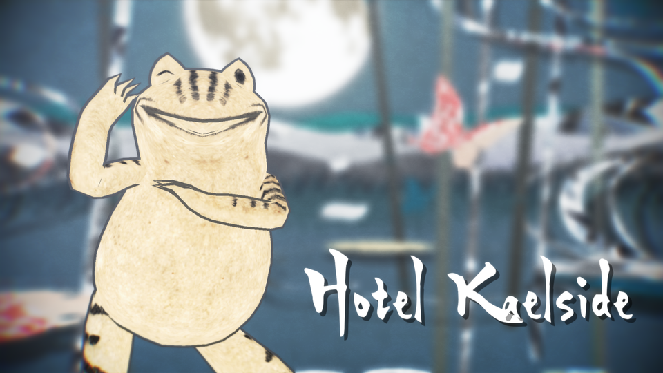 Hotel Moonside_camera