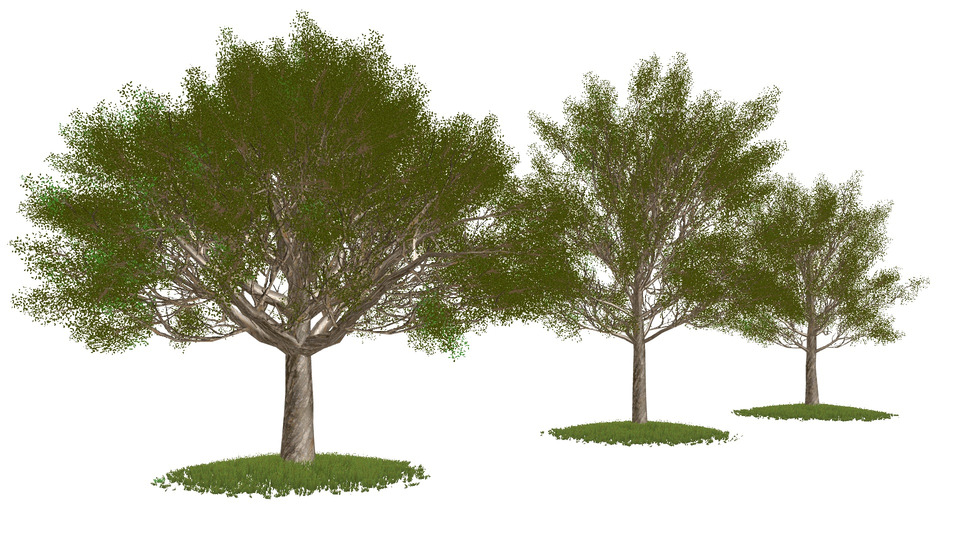 揺れる木MMDモデル