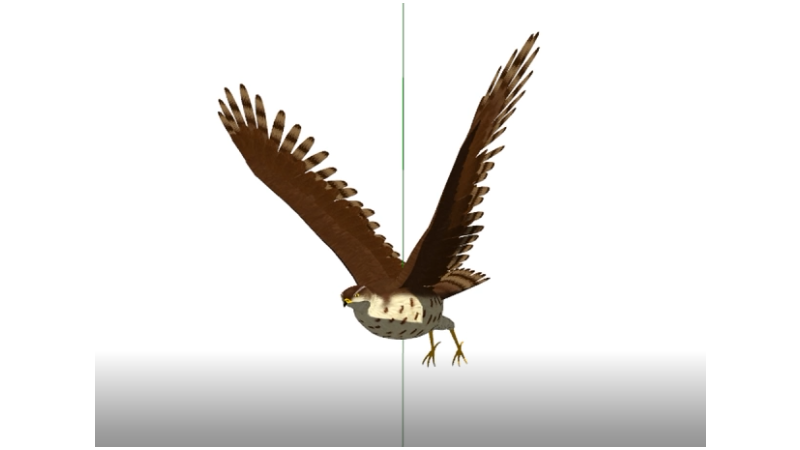 鳥モーション