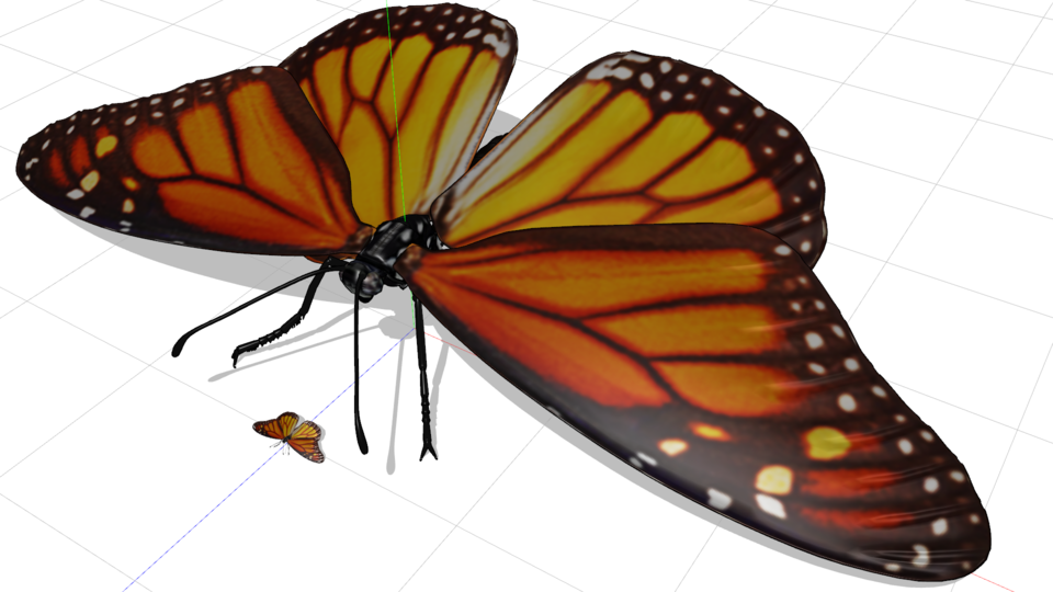 モナーク蝶 MMDモデル