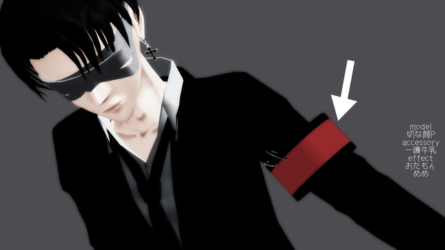 腕章一般配布用