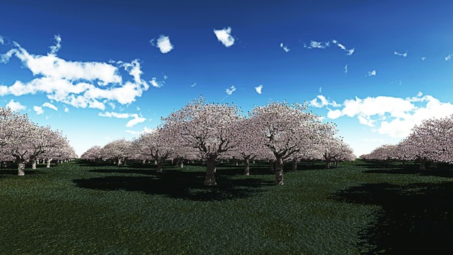 スカイドーム(桜の公園) VOL.T5