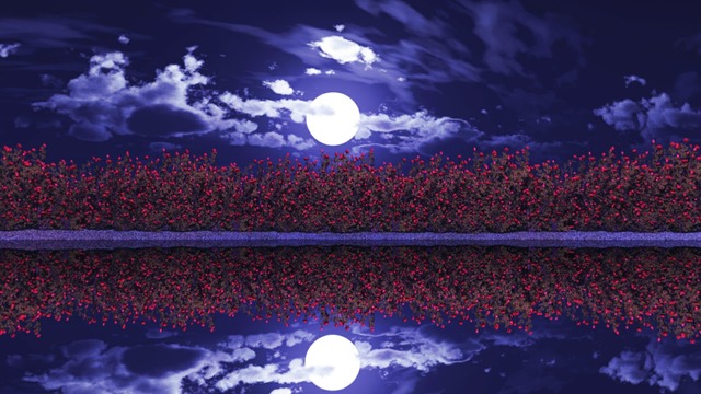 スカイドーム(夜の薔薇) VOL.W8