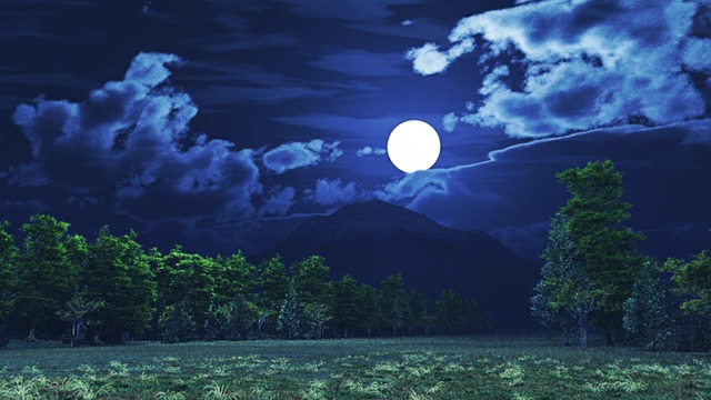 スカイドーム(夜の森) VOL.DD6