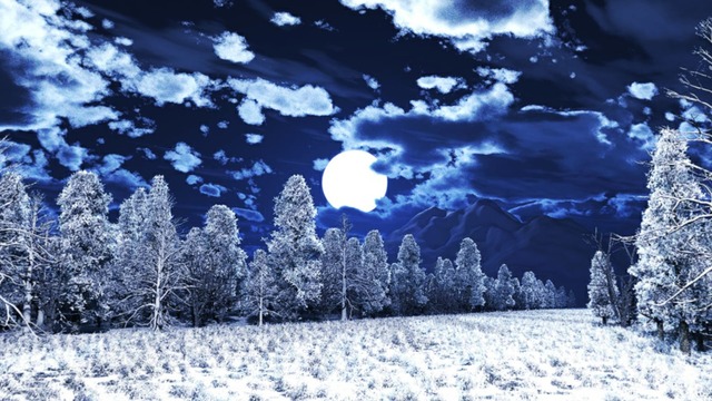 スカイドーム(クリぼっちの森) VOL.JJ8