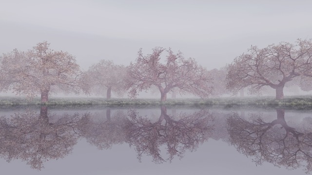 スカイドーム(霧の桜) VOL.PP1