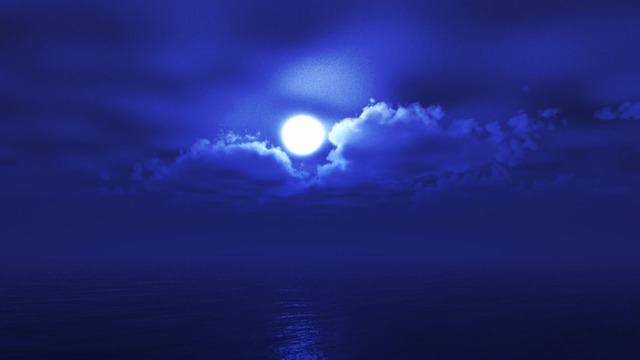 スカイドーム(幽玄ナイト) VOL.XX9