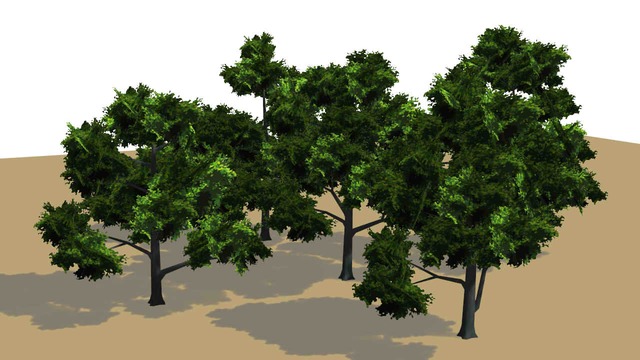 モブ樹木を５種類