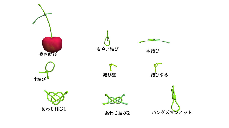 さくらんぼのへた