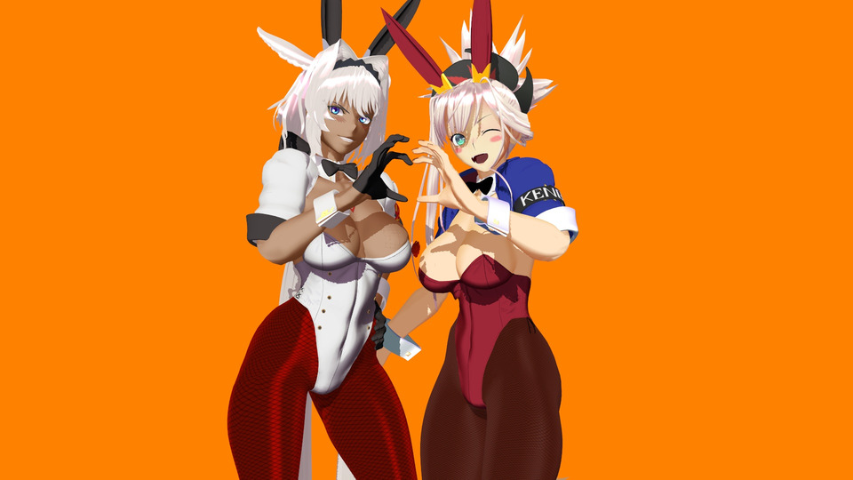●バニーカイニス ＆バニー宮本武蔵[FGO]
